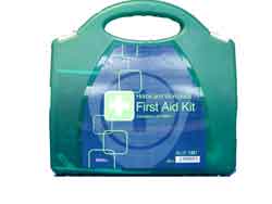 Small Workplace Kit in Standard Green Aura Box