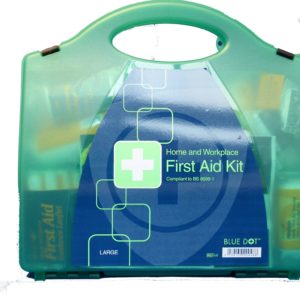 Large Workplace Kit in Super Green Aura Box