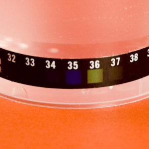 Drug Temperature Strip  TS