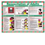 First Aid Poster Resuscitation of Adults A2