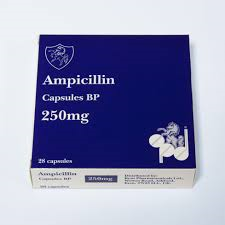 Ampicillin Capsules 250mg (28)    POM